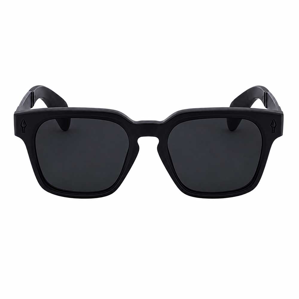 top-sunglasses-for-men2 top sunglasses for men